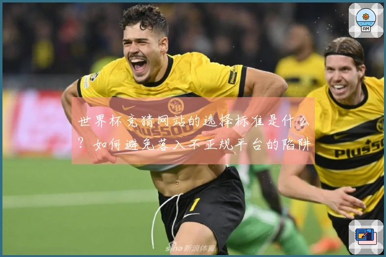 世界杯竞猜网站的选择标准是什么?如何避免落入不正规平台的陷阱?