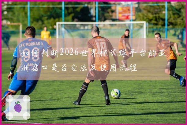 如何判断2026世界杯买球平台的亚洲盘口是否合法及使用流程