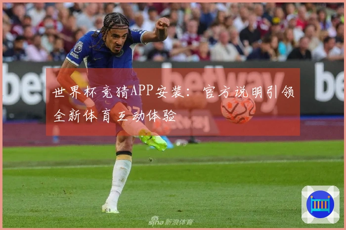 世界杯竞猜APP安装：官方说明引领全新体育互动体验