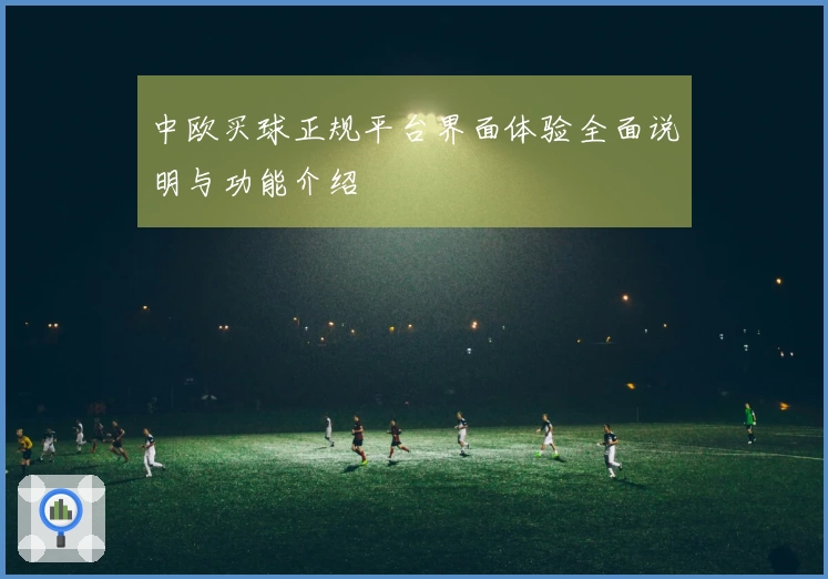 中欧买球正规平台界面体验全面说明与功能介绍