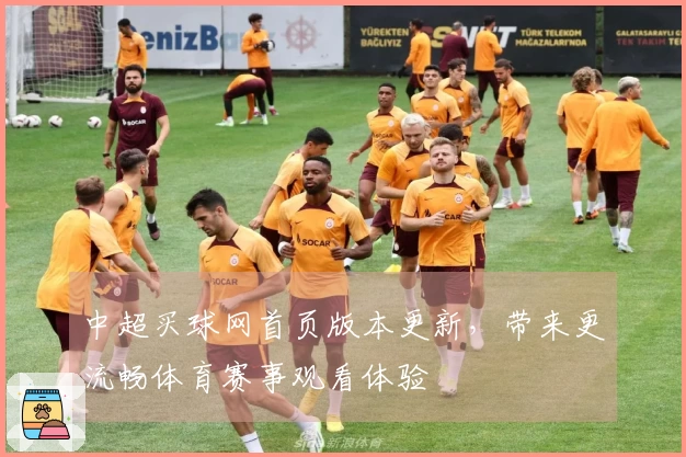 中超买球网首页版本更新,带来更流畅体育赛事观看体验