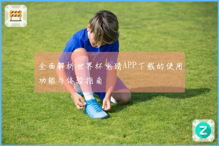 全面解析世界杯竞猜APP下载的使用功能与体验指南