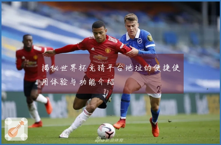 揭秘世界杯竞猜平台地址的便捷使用体验与功能介绍