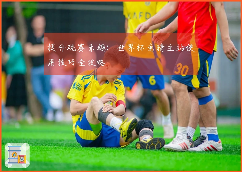 提升观赛乐趣：世界杯竞猜主站使用技巧全攻略