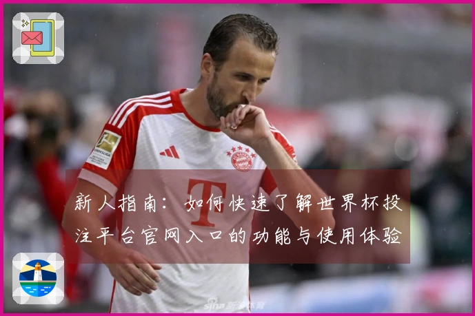 新人指南：如何快速了解世界杯投注平台官网入口的功能与使用体验