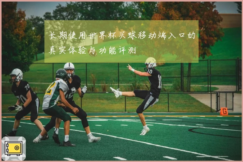 长期使用世界杯买球移动端入口的真实体验与功能评测